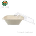 Square biodégradable à emporter Bagasse en papier Salad Bowl